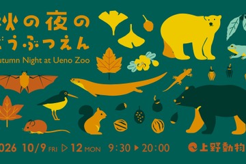 上野動物園「秋の夜のどうぶつえん」10/9-12 画像