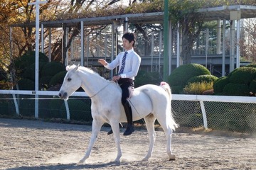 都内で手軽に乗馬体験「馬に親しむ日」…日本中央競馬会が開催 画像