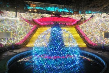 西武園ゆうえんち「感じるイルミネーション」、1/6まで毎日 画像