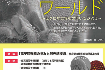 電子顕微鏡でミクロの世界を体験…東大テクノサイエンスカフェ3/9 画像