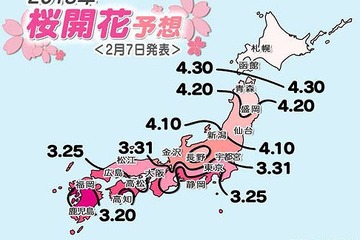 気象協会、桜開花予想「平年並みか早い」と発表…東京は3/25頃 画像