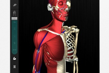 骨格の動きを忠実に再現した人体解剖アプリ登場、デジタル教科書としても利用可 画像