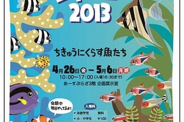 【GW】ミニ水族館「アクアリウムジャーニー2013」あーすぷらざで開催 画像