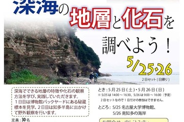 深海の地層と化石を調べる、親子対象のフィールドセミナー…5/13まで参加者募集 画像
