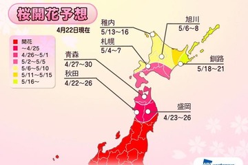【GW】東北北部の桜はゴールデンウィークが見頃ピーク 画像