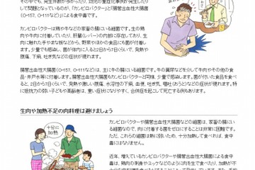 政府広報室、Webサイトで食中毒など暮らしの事故に対する注意呼びかけ 画像