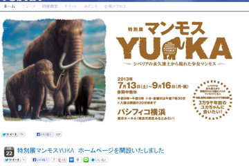 永久凍土から発掘された少女マンモス、パシフィコ横浜で7/13より公開 画像