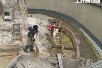 動物の体やくらしについて学ぶ「サマースクール」都立動物園で実施 画像