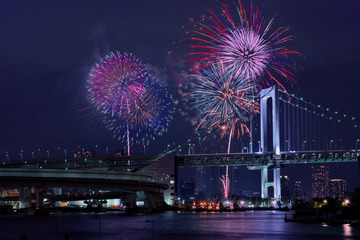 東京湾大華火祭会場周辺の多機能トイレマップを公開、学生らが協力 画像