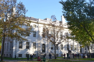 大学生が受給できる【給付型】奨学金（まとめ） 画像