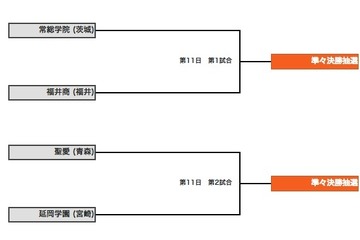 【高校野球】夏の甲子園2013　10日目（8/17）の結果と11日目の見どころ 画像