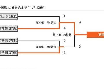 【高校野球】夏の甲子園2013　「初出場で初優勝」前橋育英が逆転勝利 画像