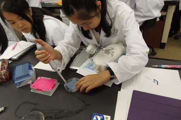 中学生が行うDNA鑑定実験、広尾学園がサイエンス教育を通じて伝える学びとは 画像
