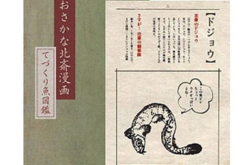 すみだ水族館、北斎が描いた水生生物画と生き物を一緒に展示 画像