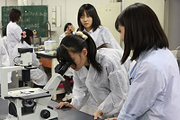 女子中高生対象「科学のマドンナ」プロジェクト…東京理科大で実験体験 画像