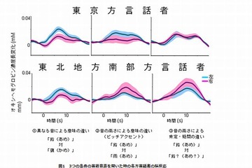 東京と東北南部方言話者の言語処理の違いを発見 画像