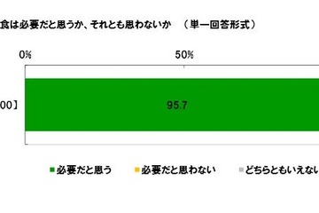 学校給食が必要だと思う母親は95.7％…学校給食に関する調査 画像