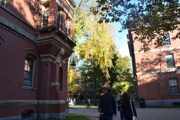 大学入学者選抜の在り方、中教審の高大接続特別部会が語る7つのポイント 画像