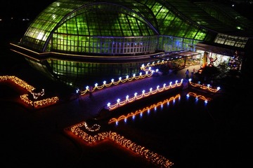 園内の樹木や花壇を約10万個のLEDで装飾、京都府立植物園の夜間開放 画像