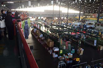 小学生対象のバスセミナーで記者体験、東京都中央卸売市場 画像