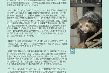 パンダは興奮、バクは動じず…震度5強、そのとき動物たちは 画像