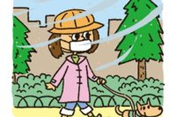 知っておきたい花粉症対策のポイント 画像