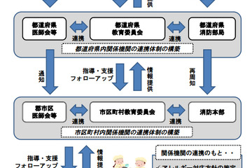 文科省、学校給食での食物アレルギー対応について各教育委員会などへ通達 画像