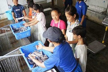 水族館で飼育係体験、小5・6対象「ジュニアトレーナー」6/8より5日間限定 画像