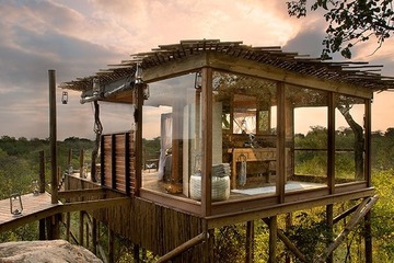 南アフリカの大自然に同化、ライオンサンズゲームリザーブ 画像