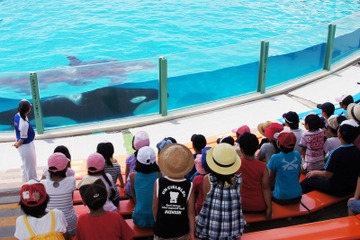 【夏休み】鴨川シーワールド、小学生対象の「サマースクール」開催 画像