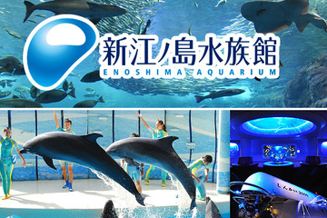 中萬学院「2014年度えのすい海の学校」7/12 画像