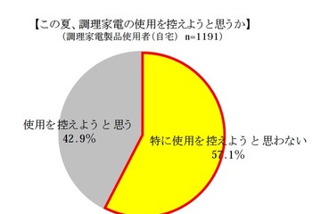 節電対策、レンジ使わず冷めてもおいしい料理といえば？ 画像