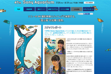 【夏休み】ソニービル、沖縄・慶良間諸島の生き物を水槽と映像で再現 画像