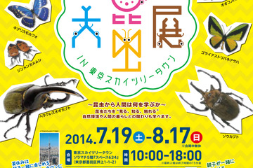 【夏休み】東京スカイツリータウン「大昆虫展」開催中、200匹のカブトムシと触れ合える 画像