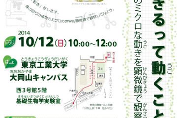 10/12 東工大、小学5・6年生対象の科学講座「生きるって動くこと！」を開催 画像