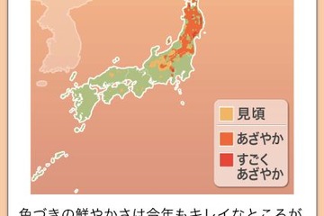 絶好のタイミングで紅葉狩りが楽しめるスマホアプリ 画像