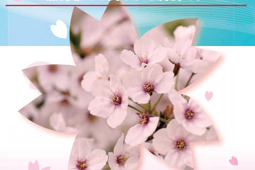 【高校受験2015】東京都、私立高校の入学費用20万円を無利息で貸付 画像