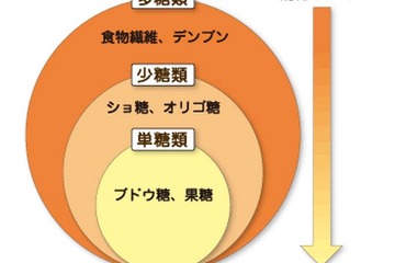 受験勉強と糖分、バナナに含まれる多様な糖分でエネルギーを長時間持続 画像