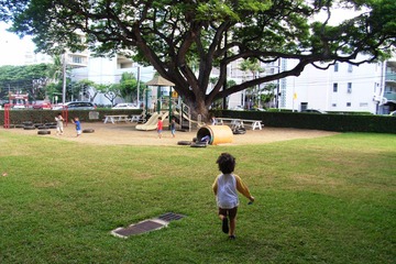 ハワイへの親子留学、母子で二人三脚の英語学習体験記 画像