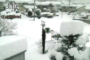 日本気象協会が選ぶお天気10大ニュース、1位は2月の記録的な大雪 画像