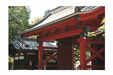 【大学受験2015】東大2次試験、英語はマークシート解答…鉛筆持参を通知 画像