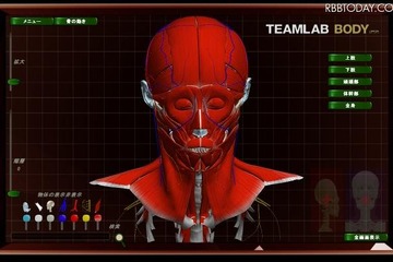 人間の動きを全方位再現、3D人体解剖サイトが無料一般公開 画像