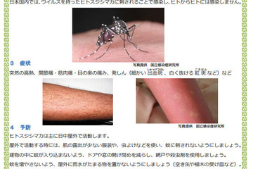 東京都、デング熱など蚊媒介感染症対策を国へ緊急提案 画像