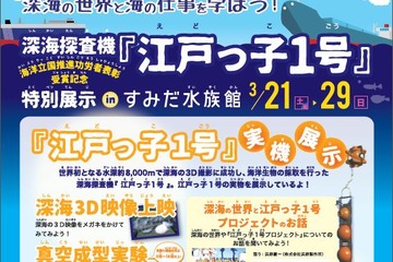 【春休み】深海の魅力を学ぶ「江戸っ子1号」特別展、すみだ水族館3/21-29 画像