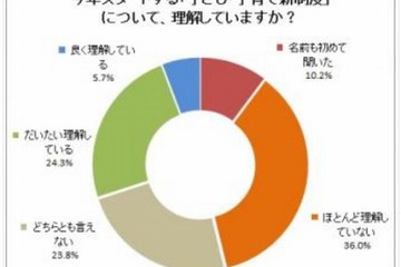 子育て新制度「理解している」わずか3割…重要な政策課題は「少子化対策」 画像