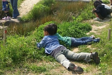 「学校ビオトープ」コンクールにフォルクスワーゲンが3回連続で協賛 画像