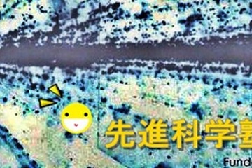 物理で語る「五重塔」…名大で中高生向け先進科学塾4/18・25 画像