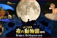 【夏休み】子どもと行きたい夜の動物園まとめ…横浜3園 画像