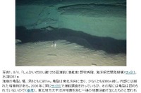 地震による亀裂や断層がくっきり「しんかい6500」海底写真 画像