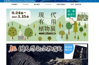 埼玉県立自然の博物館、カエデのライトアップ11/12-27 画像